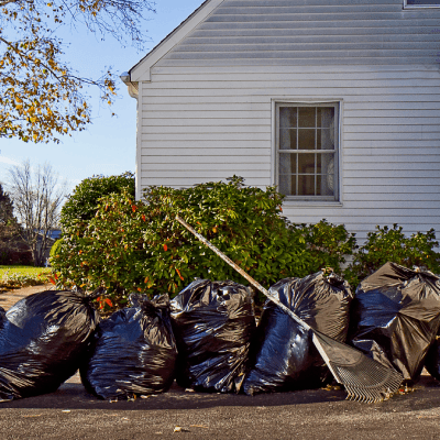 Yard Waste Removal